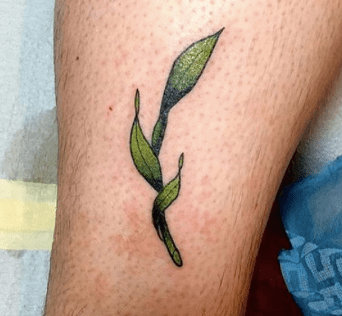 Screen Shot 2017-05-17 at 7.28.23 PM