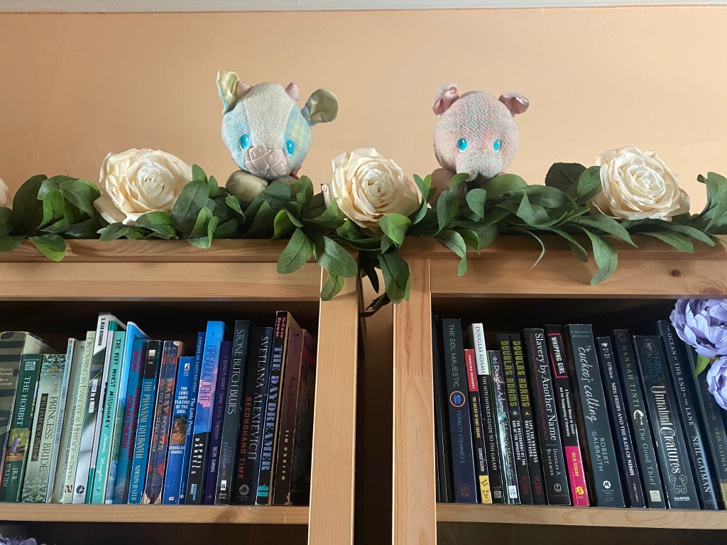 Blankie and Piggy on top of the bookshelf